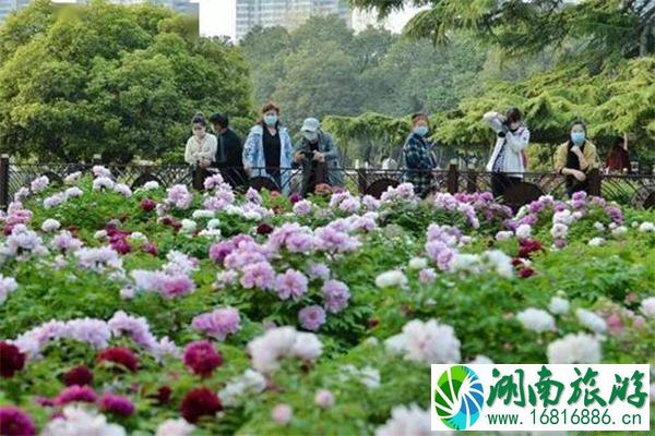 昆明百花公园在哪里 需要门票吗