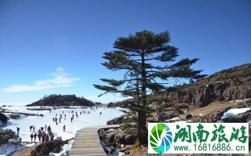 去轿子雪山住哪里好 昆明旅游住哪里比较方便