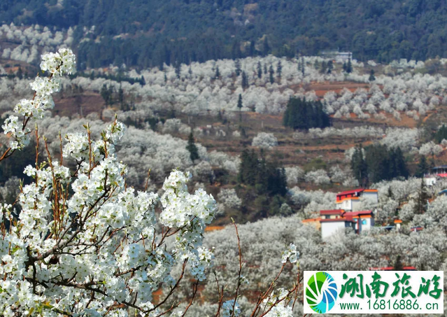 再见少年拍摄地点 云南个旧取景地介绍