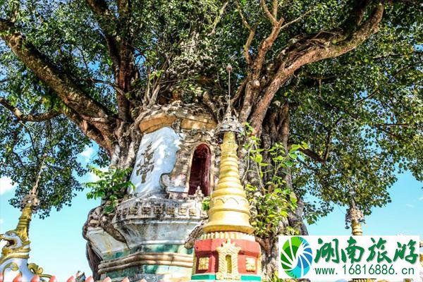 云南芒市旅游攻略必去景点 芒市旅游最佳时间