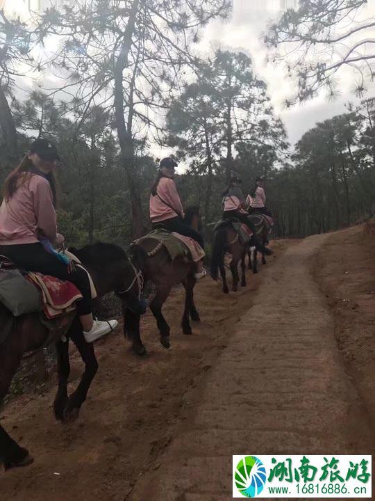 云南有哪些旅游景点 云南旅游最佳线路