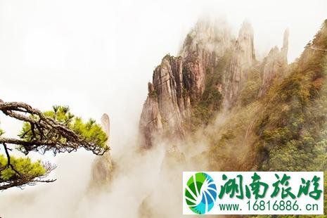 江西三清山好玩吗 江西三清山旅游攻略