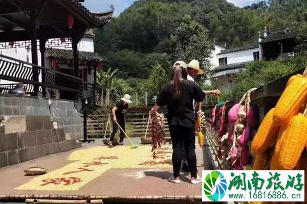 2022年十一婺源旅游门票优惠政策 国庆去婺源有什么好玩的活动