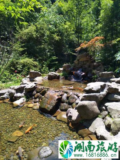 千岛湖有哪些景点 无锡到千岛湖旅游怎么计划