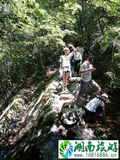 千岛湖有哪些景点 无锡到千岛湖旅游怎么计划