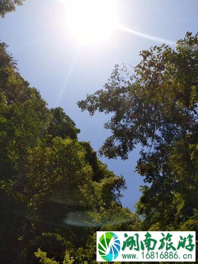 千岛湖有哪些景点 无锡到千岛湖旅游怎么计划