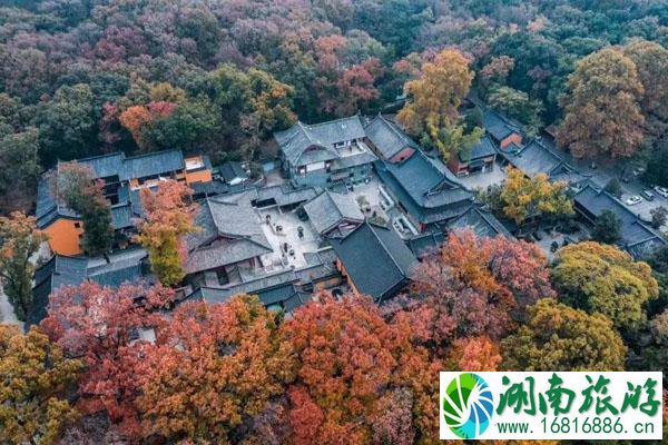 南京紫金山爬山路线哪个最好 爬山最佳路线