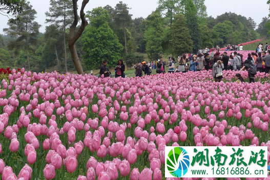 2022三八妇女节成都石象湖门票优惠活动