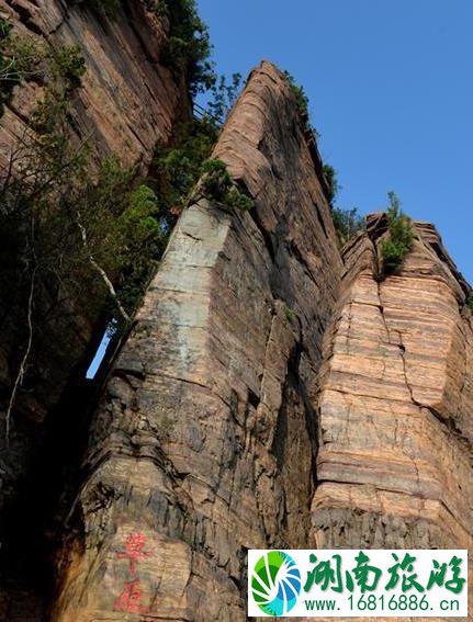 黛眉山景区门票多少钱