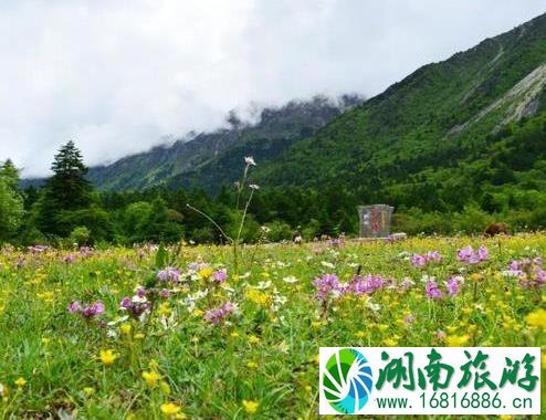 雅安宝康路 川西自驾游新通路线