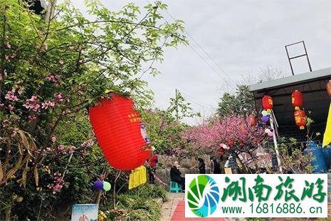 成都龙泉2022桃花节 门票+地点+赏花攻略