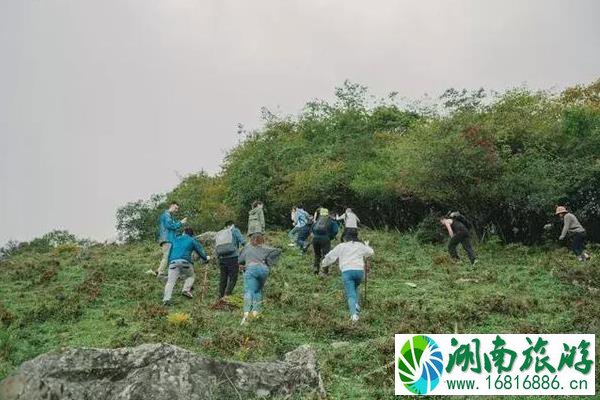 成都周边游景点推荐 成都周边适合打卡的网红景点大全