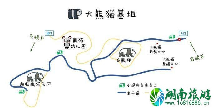 中国大熊猫保护研究中心雅安碧峰峡基地攻略