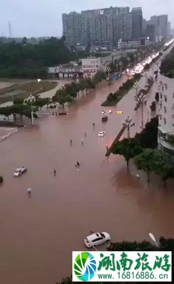 乐山大佛遭暴雨暂停接待游客 千佛岩景区万象亭被冲毁