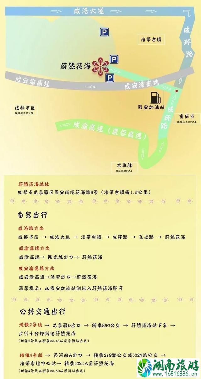 成都龙泉驿区蔚然花海向日葵观赏指南