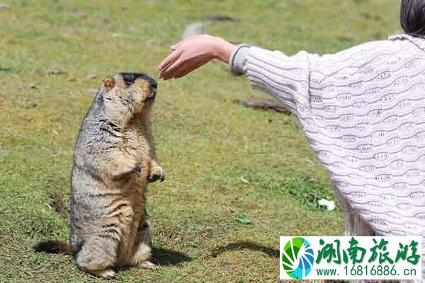 四川冷门旅游景点推荐 四川有哪些冷门但好玩的景区