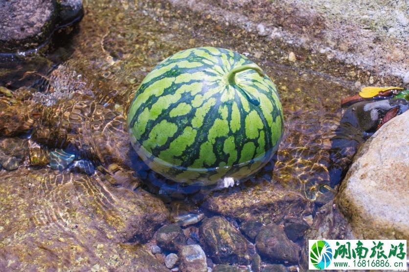 峨眉山特色玩法介绍