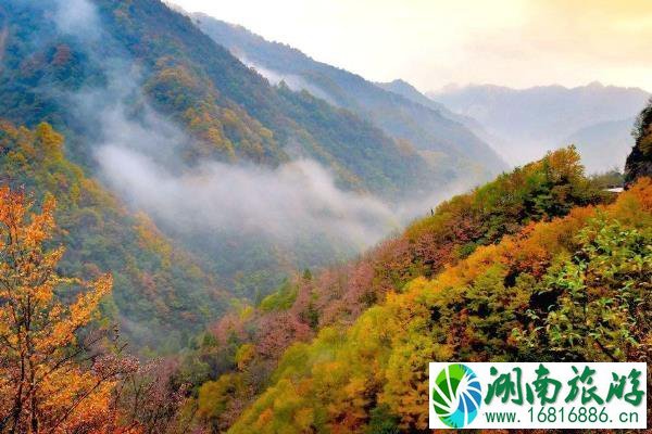 成都周边适合秋季旅游景点