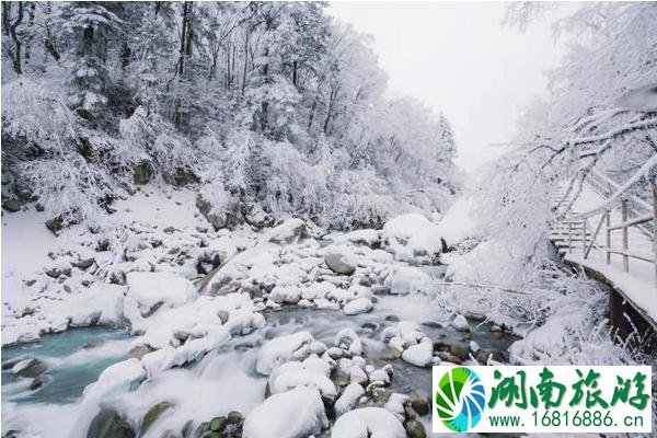 2022四川冰雪和温泉旅游节时间+地点+门票优惠+介绍