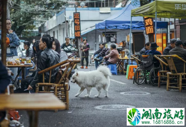 成都的这些老街