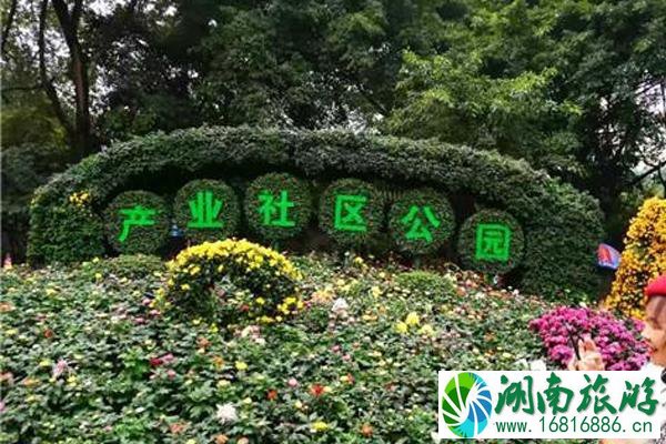 2022年成都菊花展什么时候开始+举办地点+活动介绍