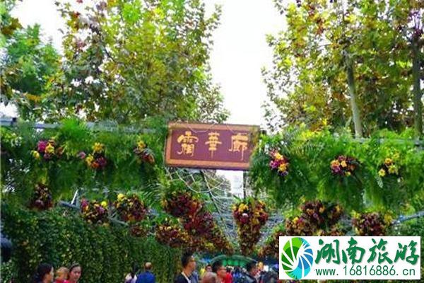 2022年成都菊花展什么时候开始+举办地点+活动介绍