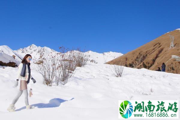 成都鹧鸪山跟团多少钱 成都到鹧鸪山旅游攻略