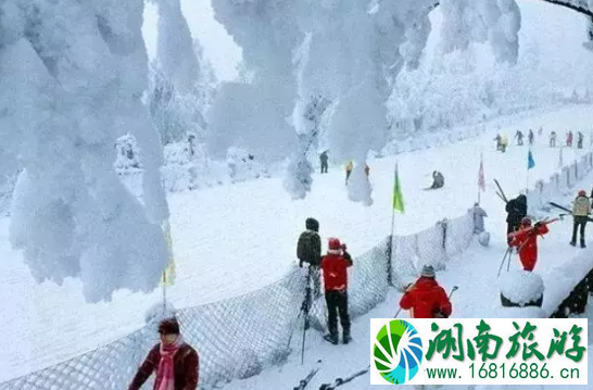 成都滑雪场推荐 成都周边有哪些滑雪场