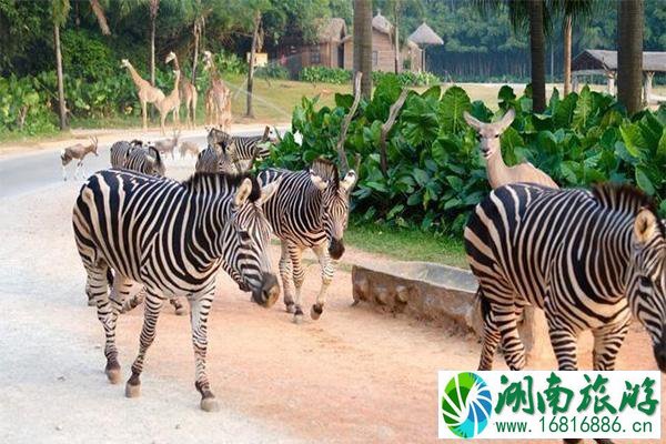 成都12月免费景点有哪些 在12月的免费开放日的四川景区