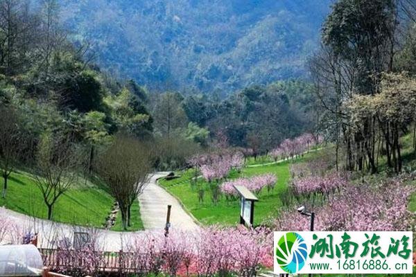 成都天府花溪谷景区1元优惠门票怎么获得