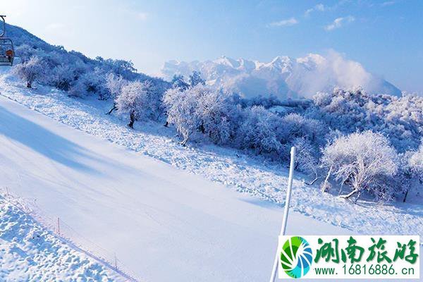 成都到太子岭滑雪场怎么坐车 多少钱及距离多少公里