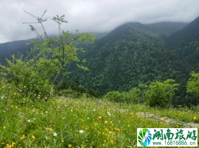 夏天四川徒步去哪里-景点推荐