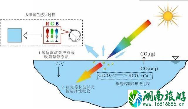 九寨沟的水为什么是蓝色的