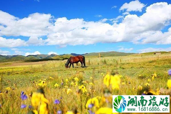 成都到莲宝叶则的旅游路线及攻略