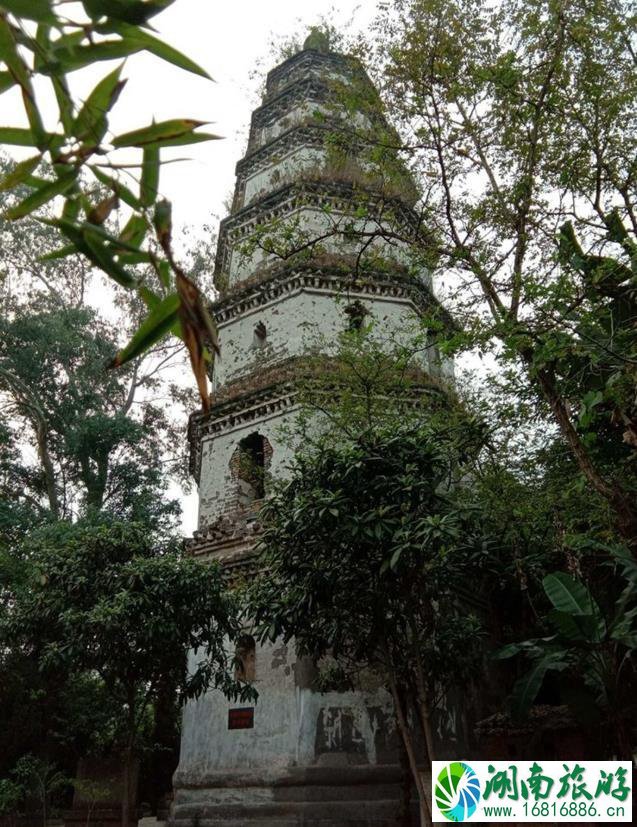 泸州什么塔 泸州有哪些古塔景区