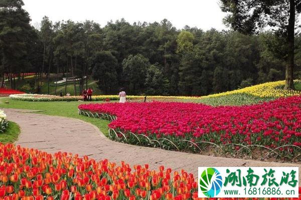 2021成都三八节有哪些免费景区 成都三八节免费景区推荐