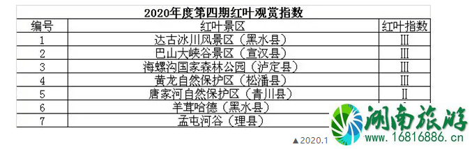 四川红叶观赏指数2020 11月四川有红叶的地方