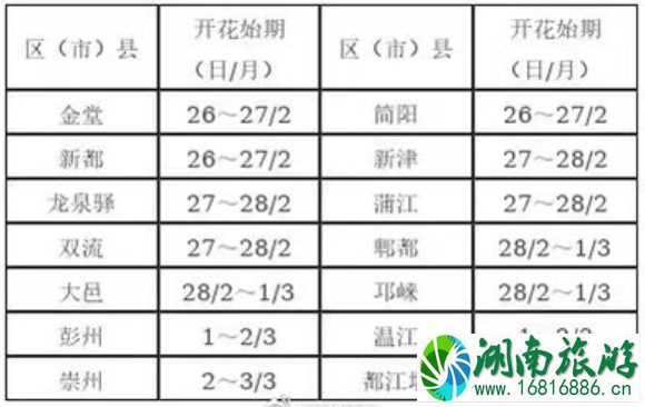 成都梨花什么时候开花 彭州熙玉村梨花观赏指南