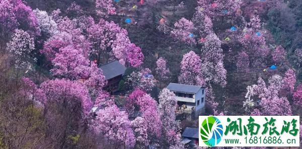 绵阳周边一日游景点推荐 绵阳景点介绍