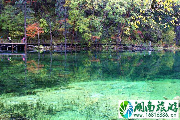 2021九寨沟神仙池门票优惠-免票人群-景点介绍