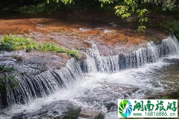 2021成都邛崃天台山萤火虫观赏时间-最佳观赏地址