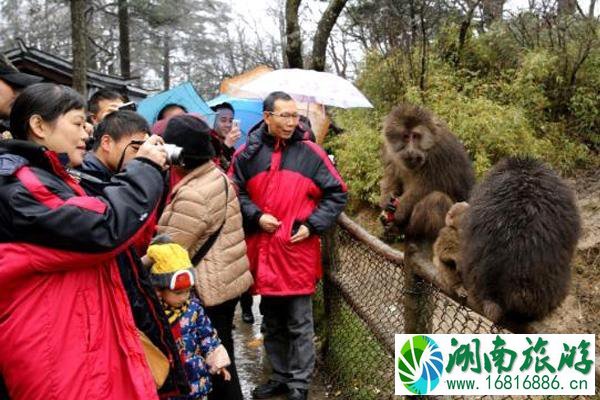 峨眉山冬天封山吗 峨眉山冬天旅游攻略