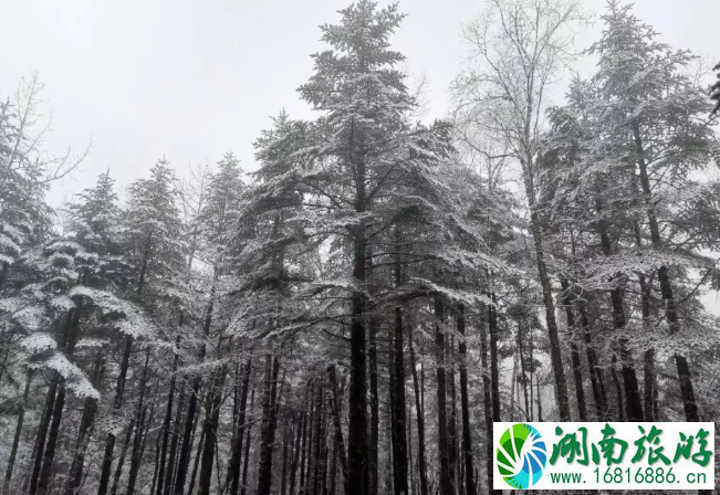 冬天四川适合去哪里旅游 四川下雪的地方景点