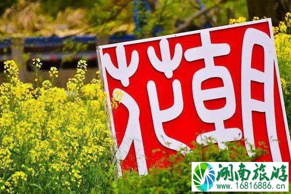 成都花朝节2022时间和地点