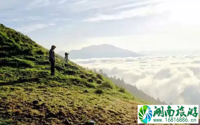 绵阳避暑的地方有哪些