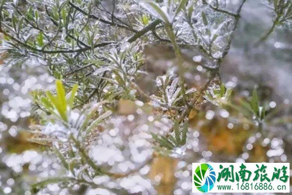 成都周边赏雪泡温泉的地方 成都周边温泉哪里最好