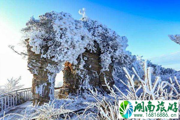 四川光雾山下雪了吗 2020四川光雾山冰雪节开幕有哪些活动