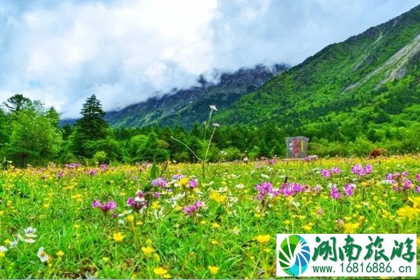 四川有哪些草原旅游景点-门票价格