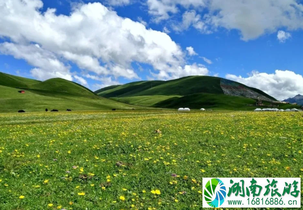 四川有哪些草原旅游景点-门票价格