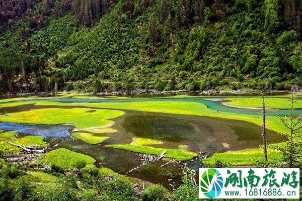 四川周边有哪些海景